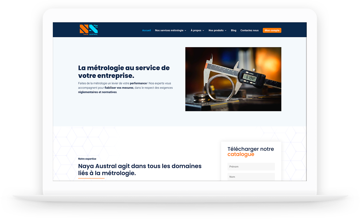 Site WordPress : Naya Austral